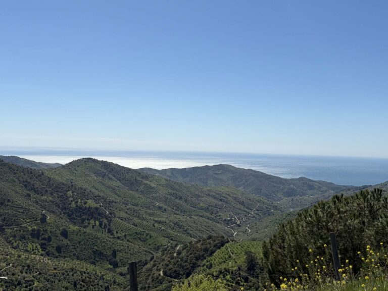 contact cycling costa del sol